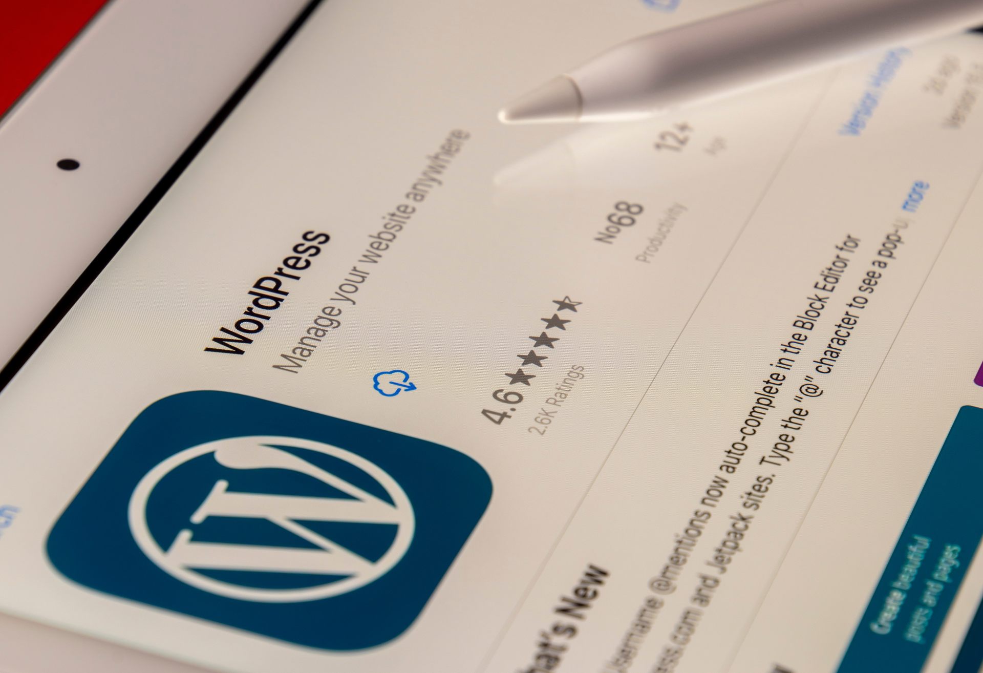 Website design