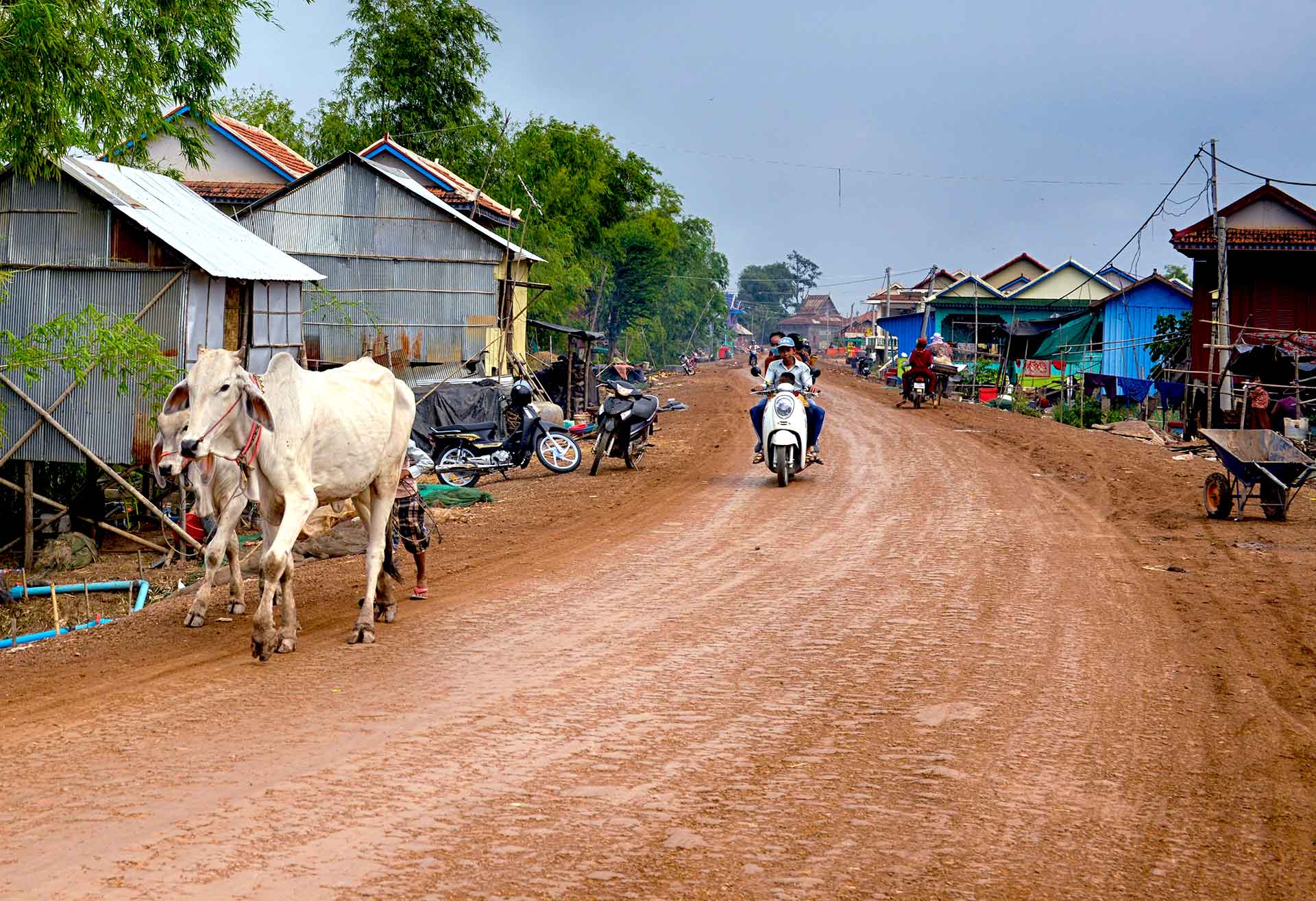 cambodia