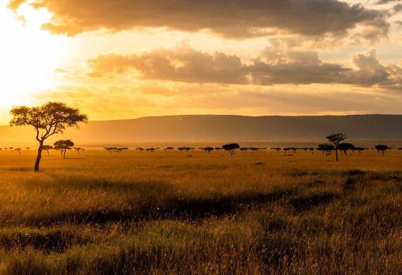 How Grimsby became inspiration for Kenya!