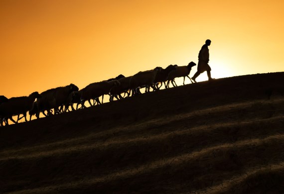 Answers: Hearing God, Living in His Power, and Encounters with the Holy Spirit