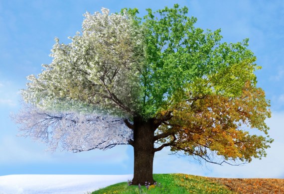Seasons change for a reason