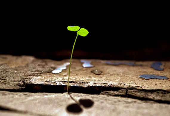 Seventy five years of faith for the impossible